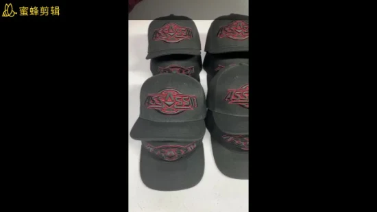 2023 Nouveau couvre-chef Snapback Cap avec logo personnalisé broderie 3D (01072)